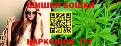 сатива Лесосибирск