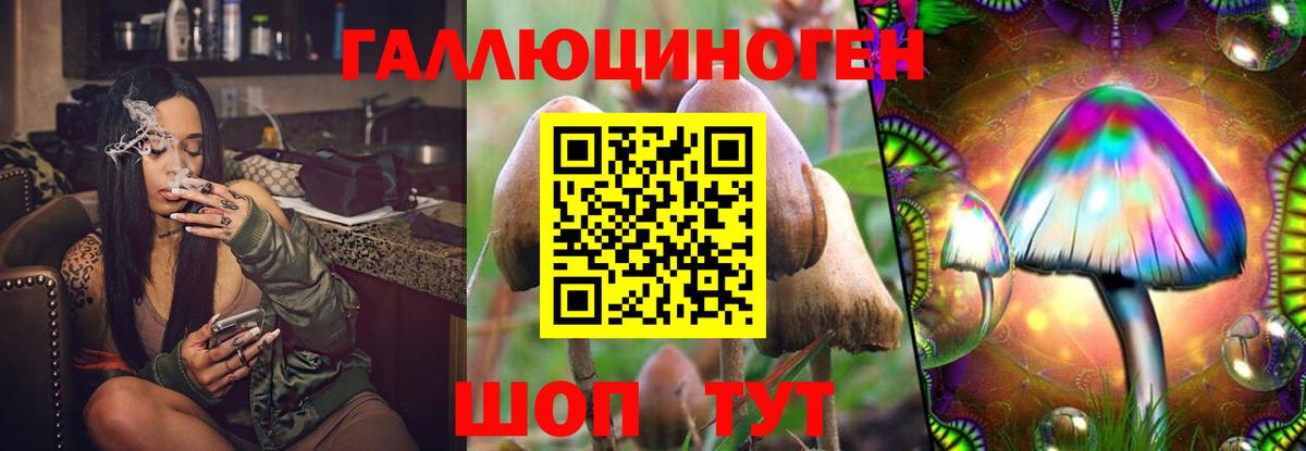 Галлюциногенные грибы MAGIC MUSHROOMS Камышин